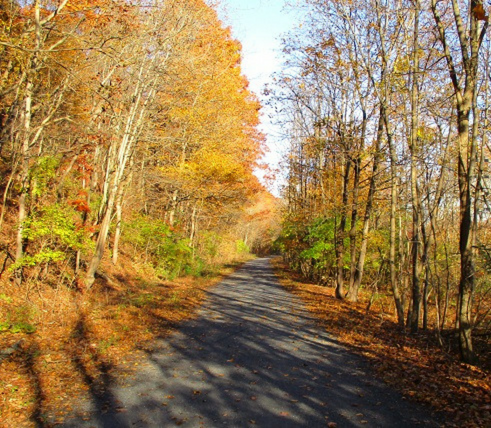 The Tragedy in&nbsp;Bethel