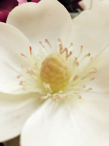 The Presence of the Lord