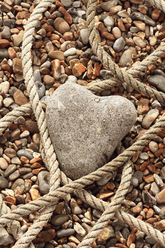 All Things in&nbsp;Common