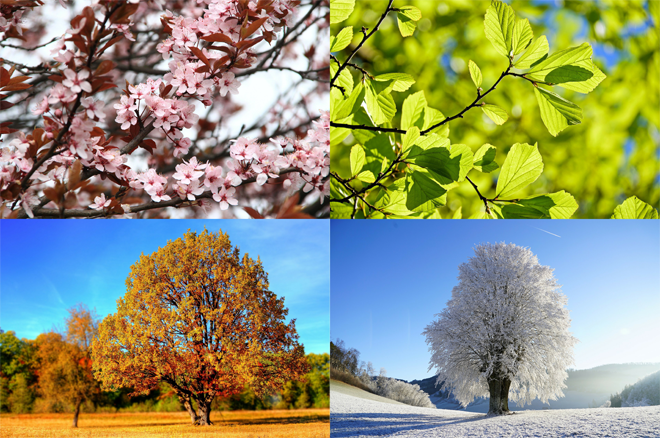 A Time for Everything